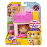 little live pets mini mama chomik z niespodzianką maluszków w domeczku