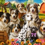 Puzzle szczęśliwe psy na wsi 260 elementów
