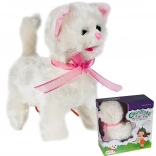 Kociątko na smyczy z sterowaniem