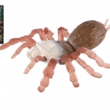 Antystresowy pająk z twardym korpusem i silikonowymi nogami