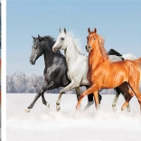 Diamentowe malowanie Końskie trio 30x40 cm