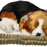 Oddychujące szczenię beagle Perfect Petzzz