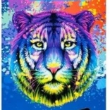 Trójkątne kredki Triocolor 36 szt. od KOH-I-NOOR - tygr