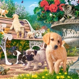 Puzzle 100 elementów Hide and Seek