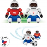 Zdalnie sterowany robofutbol