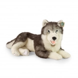 Pluszowy pies husky leżący 60 cm ECO‑FRIENDLY od RAPPA