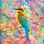 Puzzle Szczęśliwy ptaszek 1000 elementów