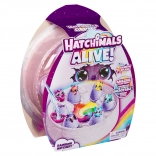 Hatchimals tęczowa wylęgarnia Alive! – zestaw do zabawy ze zmianą koloru wody