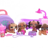 zestaw piesków z akcesoriami do zabawy i opieki