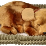 Oddychający pluszowy piesek do adopcji