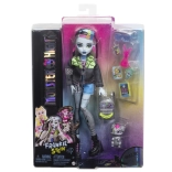 Lalka Monster High Frankie Stein z akcesoriami