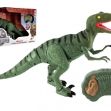 Chodzący dinozaur Velociraptor z zdalnym sterowaniem