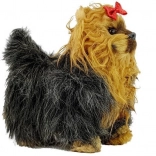 Interaktywny piesek yorkshire terrier – chodzi i szczeka