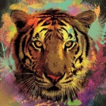 Puzzle Tygr 150 elementów