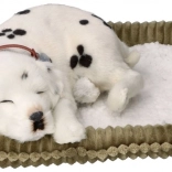 Realistyczny oddychający dalmatyńczyk PERFECT PETZZZ do adopcji