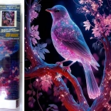 Norimpex diamentowe malowanie Nocny ptak 30x40 cm