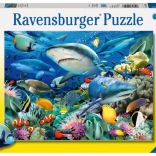 Puzzle "Rekinowa Rafa" od Ravensburger