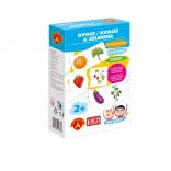 Gra szkolna - Owoce i Warzywa