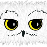 Pluszowy piórnik Hedwiga