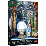 Trefl Puzzle Premium Plus Magic Collection: czarodziejski uczeń 1000 elementów