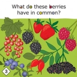 Yummy! edukacyjna gra o zdrowym odżywianiu dla dzieci od 3 lat