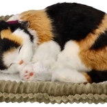 Oddychające trójkolorowe kociątko na legowisku