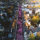 Ravensburger puzzle 1500 elementów Bonn, Niemcy