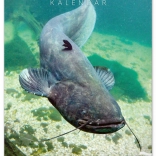 Kalendarz ścienny Wędkarski 2026