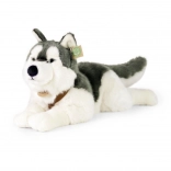 Pluszowy pies Husky 60 cm ECO FRIENDLY