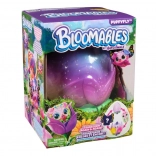 Hatchimals magiczny pąk z niespodzianką – przemiana gąsienicy w motyla