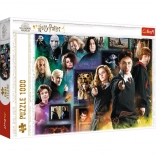 Puzzle HARRY POTTER 1000 elementów – magiczny świat