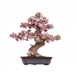 drewniana układanka 3D bonsai sakura