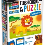 Zagadki i fiszki dla dzieci