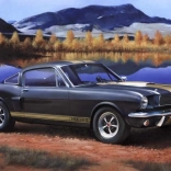 Plastikowy model Shelby Mustang GT350H