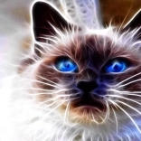 Diamentowe malowanie Kocia magia 30 × 40 cm