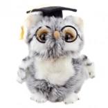 Pluszowa sowa Absolwent