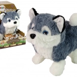 interaktywny pluszowy pies husky – chodzi, merda ogonem i wydaje dźwięki