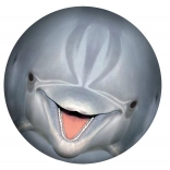 Podwodna piłka SPORTO – delfin do basenu i ogrodu