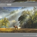 Puzzle 1000 elementów – poranny pozdraw