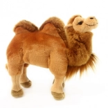 Pluszowy wielbłąd