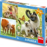dziecięce puzzle rodzinka zwierzątek 3×55 elementów