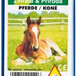 Kwartet - Konie w plastikowym pudełku