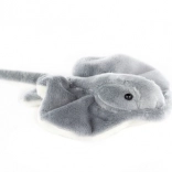 Pluszowa płaszczka średnia