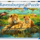 Ravensburger puzzle Lwy na sawannie 500 elementów