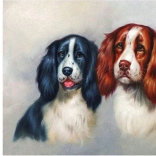 Malowanie diamentowe Futrzany duet 30 × 40 cm