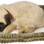 Perfect Petzzz oddychające szczenię mops