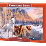 Puzzle CASTORLAND Winter Melt – konie, 500 elementów