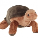 Pluszowy żółw