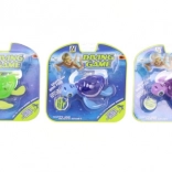 Nurkowa żółwica ze światłem