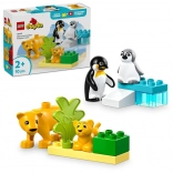LEGO DUPLO rodziny dzikich zwierząt: pingwiny i lwy